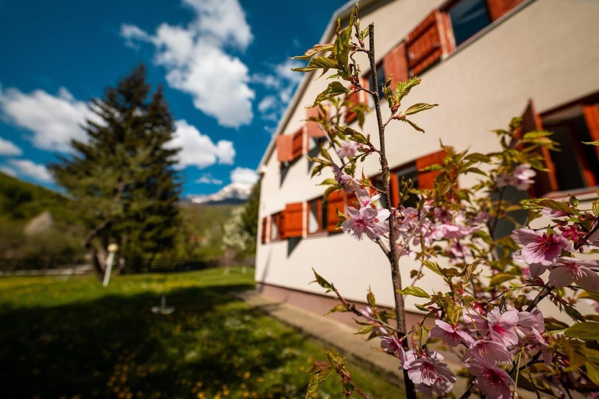 Hostel Mojan 앤드리자비카 외부 사진